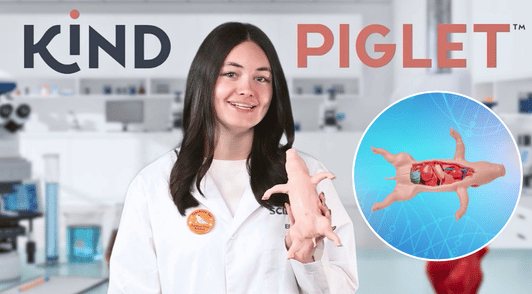 person holding the Kind Piglet