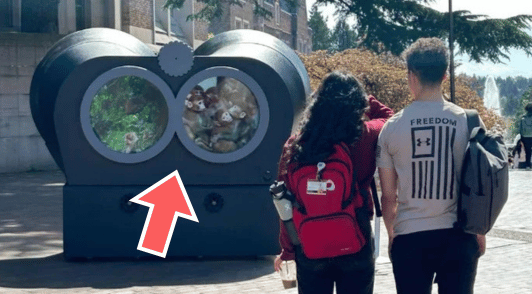 large binoculars with people watching the exhibit from a distance