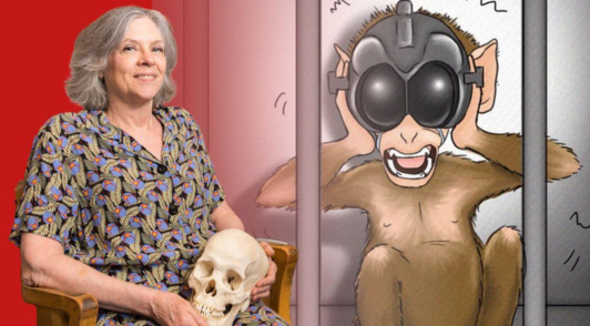 Margaret Livingstone next to drawing of monkey in laboratory