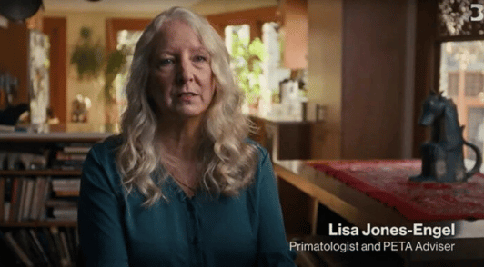 Dr Jones Engel in primate documentary