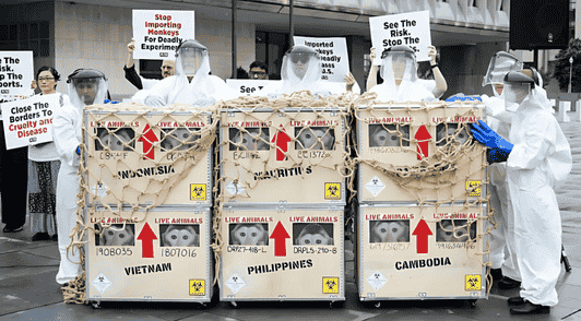 monkey import demo of monkey crates and hazmat suits