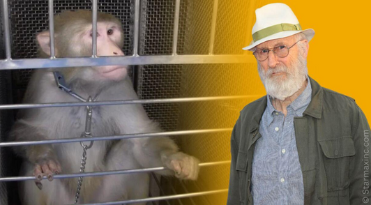 Actor James Cromwell in a collage with a monkey trapped in a laboratory cage