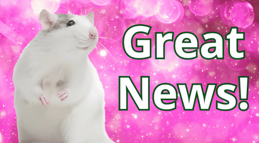 rat on branch with pink flowers and the words great news