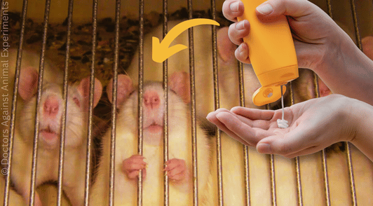 rats in laboratory cage next to someone holding a bottle of sunblock