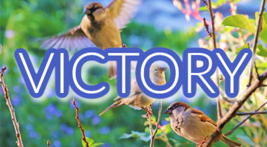 birds in trees with the word victory
