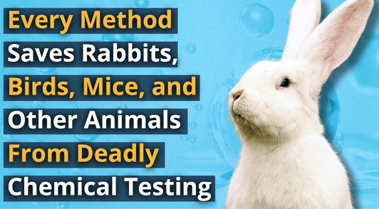 white rabbit with the words every method saves rabbits birds mice and other animals from deadly chemical testing