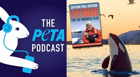 Captain Paul Watsons book next to image of an orca next to PETA podcast logo