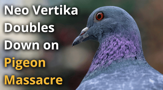pigeon with the words Neo Vertika doubles down on pigeon massacre