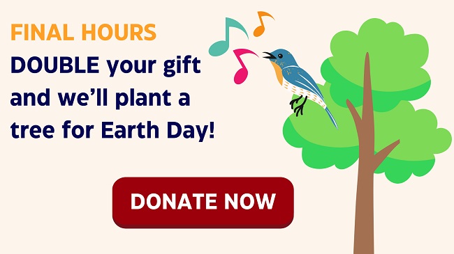 Noon deadline: Act now for your 2X impact 🎹