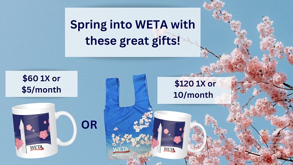 Cherry blossoms, a spring in your step + brand-new Sanditon binge!