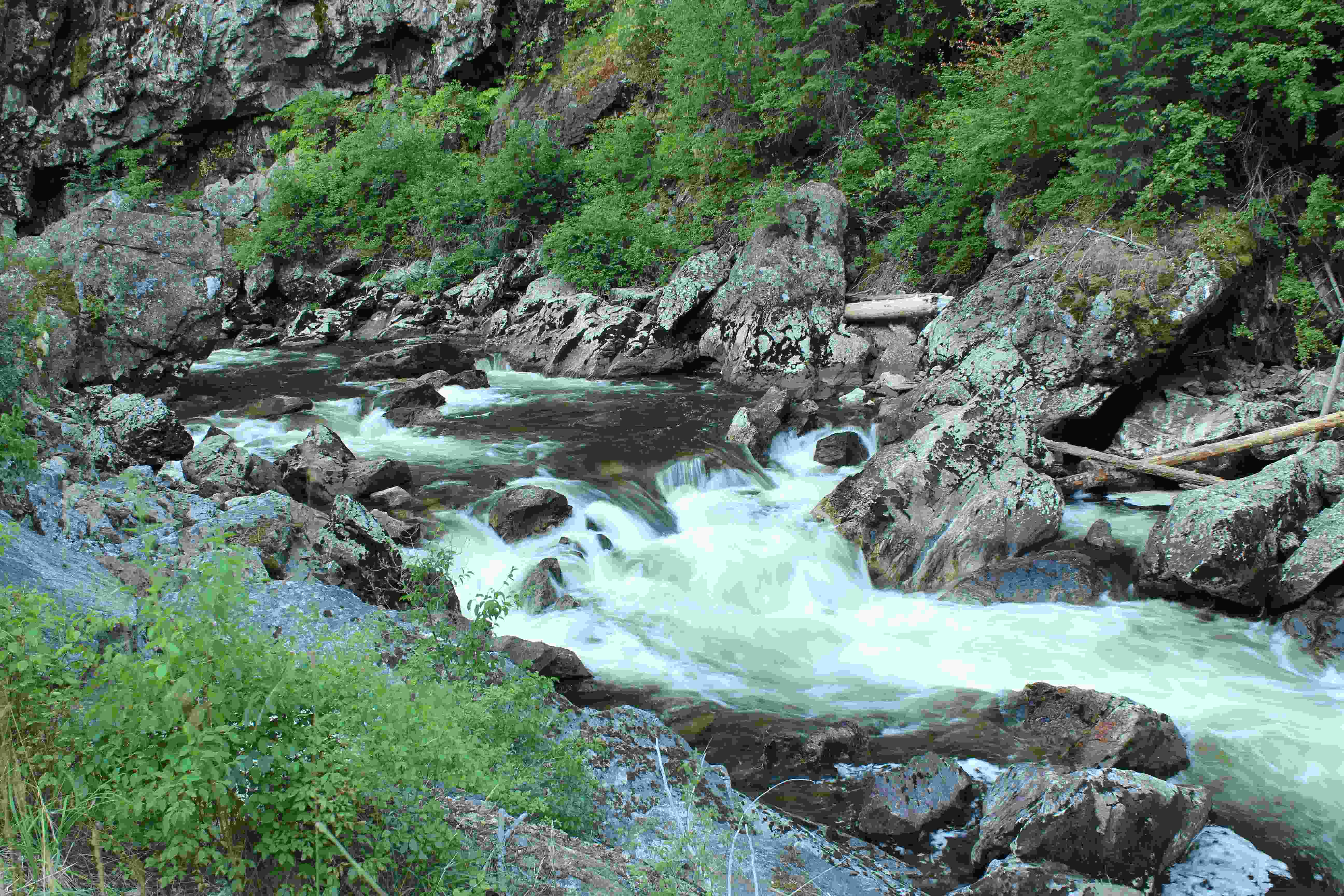 Protect the Cleawater River | American Rivers