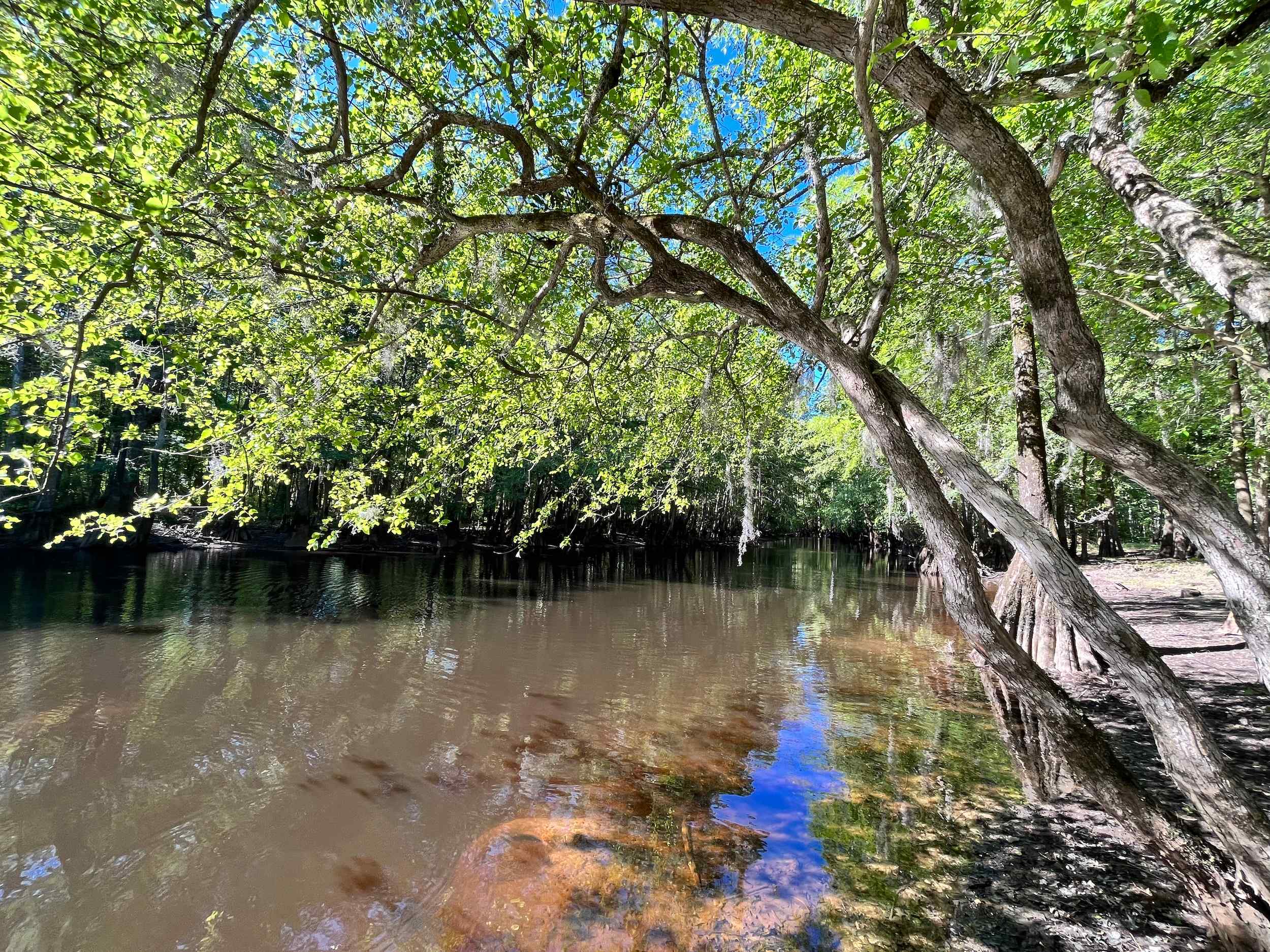Little Pee Dee River in South Carolina