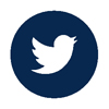 Twitter Share Button