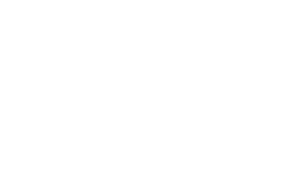 Charity Navigator Logo