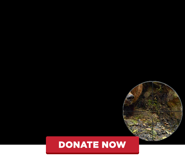 Help protect vulnerable bears and our only earth!