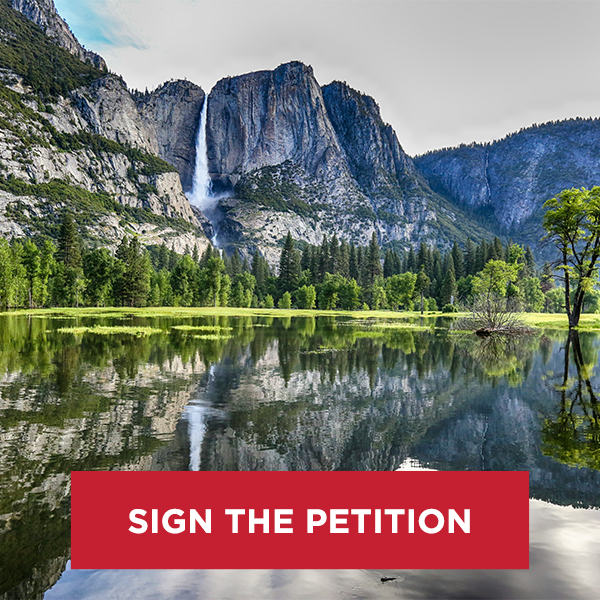 Beautiful mountain landscape with waterfall, lake, and forest. SIGN THE PETITION.