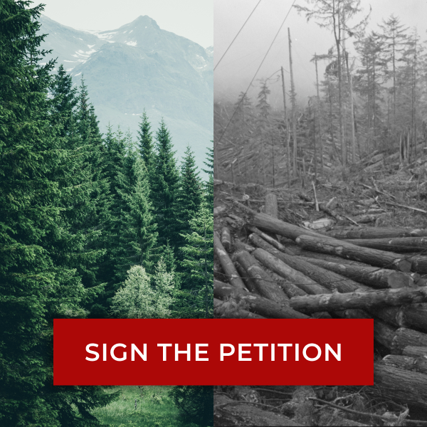 Split image of thriving forest on one side and a scene of desforestation on the other. Sign the Petition.
