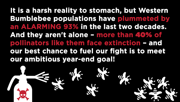 It is a harsh reality to stomach, but the Western bumblebee population has plummeted by an ALARMING 93% in the last two decades. And they aren't alone - more than 40% of pollinators like them face extinction - and our best chance to fuel our fight is to meet our ambitious year-end goal of $592,000!