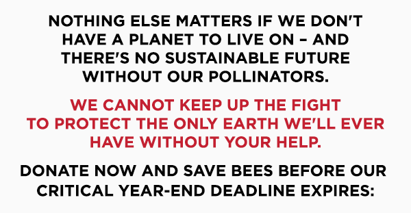 Nothing else matters if we don't have a planet to live on - and there's no sustainable future without our pollinators. 

We cannot keep up the fight to protect the only Earth we'll ever have without your help. 

Donate now to save bees and protect fragile ecosystems before our critical year-end deadline expires: