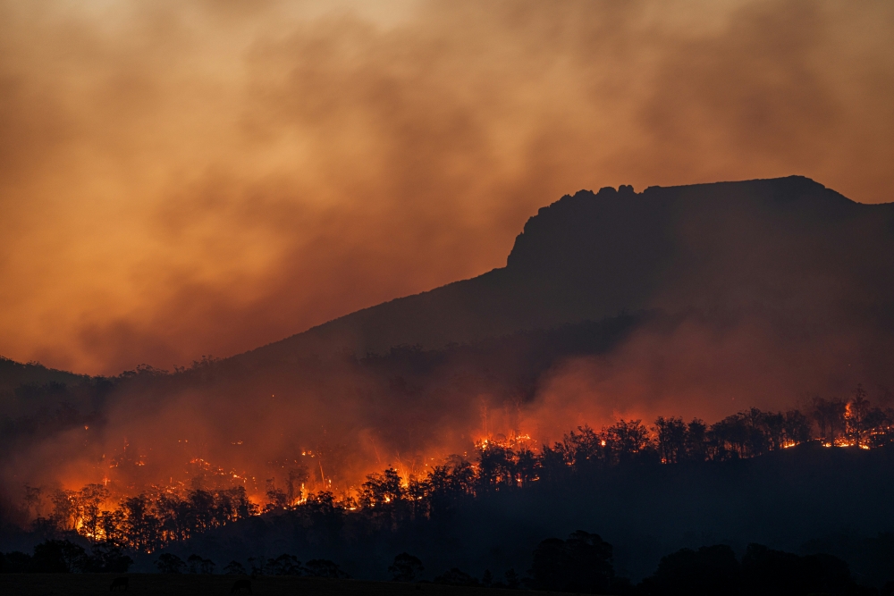 Image of burning forest with mountain in the background.