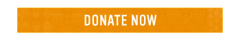 DONATE NOW