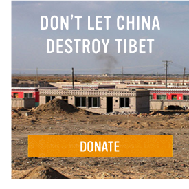 Donate Now
