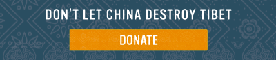 Donate Now