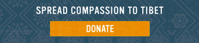 Donate Now
