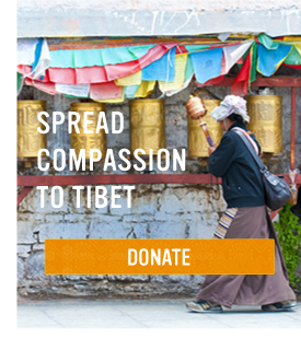Donate Now