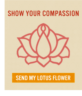 Show Your Compassion