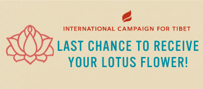 International Campaign for Tibet