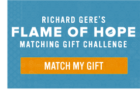 Match My Gift