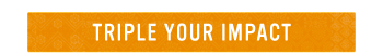 TRIPLE YOUR IMPACT