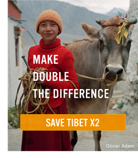 SAVE TIBET X2