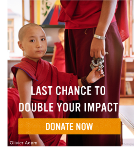 SAVE TIBET X2
