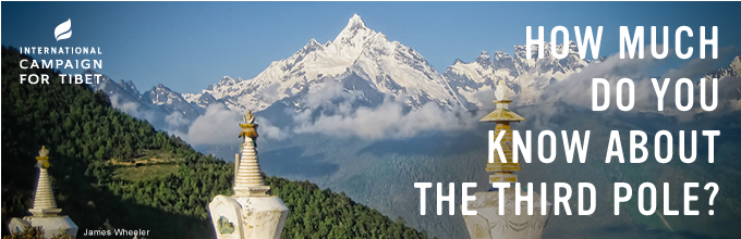 International Campaign for Tibet