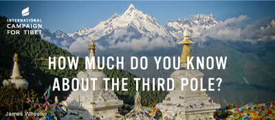International Campaign for Tibet