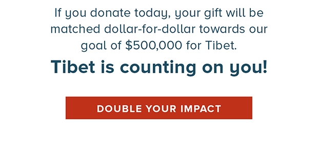 Double Your Impact