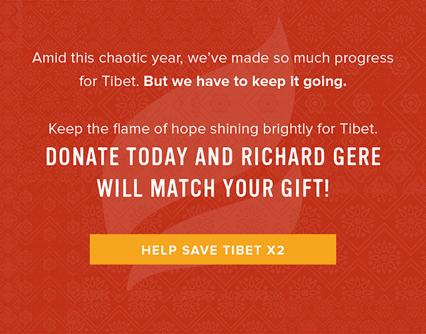 Richard Gere Will Match Your Gift