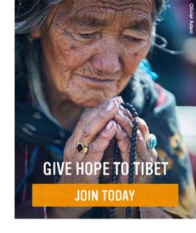 Donate Now