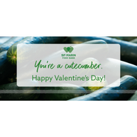 Photo of cucumbers/You're a cutecumber. Happy Valentine's Day!