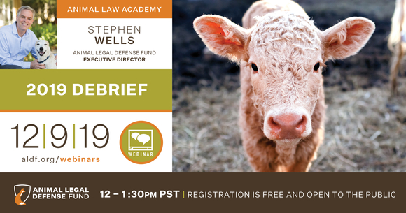 Graphic promoting the 2019 Debrief webinar with Stephen Wells. It contains a photo of Stephen cuddling his dog, a photo of a fuzzy brown cow, the ALDF logo, the information for the webinar on 12/9/19 from 12-1:30 pm PST including, "registration is free and open to the public."