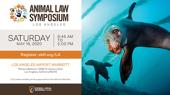 Graphic promoting the event with a photo of two seals underwater and the Animal Law Symposium logo of a human hand print surrounded by non-human animal paw prints. Text says, "Saturday May 16, 2020 from 8:45 am to 5 pm. Los Angeles Airport Marriott on 5585 W. Century Blvd. CLE credits available, pending approval from the CA State Bar."