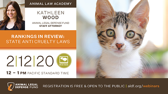 Graphic promoting the webinar with the ALDF logo, a photo of a white and brown kitten's face and a photo of the speaker, ALDF Staff Attorney Kathleen Wood. Text says the webinar name, and "2/12/20 from 12-1 pm PST. Registration is free and open to the public."