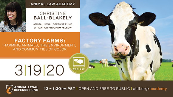 Graphic promoting the webinar with a photo of a cow and the speaker. Text says, "Factory Farms: Harming Animals, the Environment, and Communities of Color on 3/19/20 from 12-1:30 pm PST. Open and free to the public."