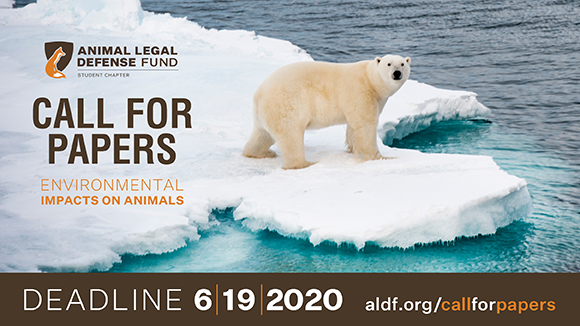 Graphic promoting the call for papers with a photo of a polar bear on ice surrounded by water and the ALDF logo. Text says, "Call for papers: environmental impacts on animals. Deadline 6/19/20."