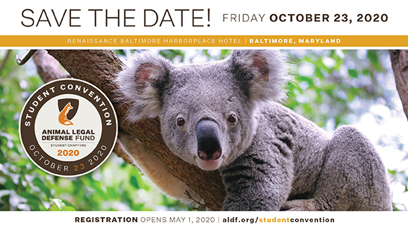 Graphic promoting the Student Convention with a photo of a koala bear in a tree with the text, "Save the date!"