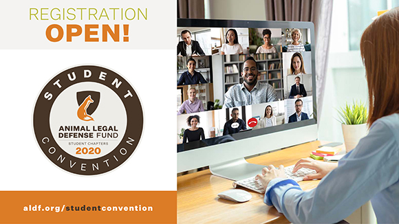 graphic promoting the Student Convention with a photo of a person in front of a computer. To the left, text says, "Registration open!" with the Student Convention 2020 logo.