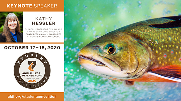 graphic promoting the virtual Student Convention with a photo of a fish, Professor Kathy Hessler, the Convention logo, and the dates of the event, October 17-18, 2020.