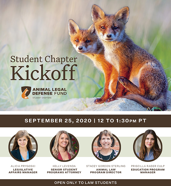 graphic promoting the event with a photo of two fox pups, photos of the speakers, and this text, "Student Chapter Kickoff Sept. 25, 2020 from 12 to 1:30 p.m. PST. Open only to law students."